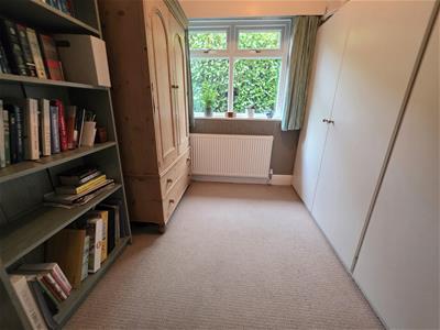 Picture 15